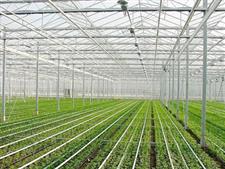 農業種植溫室建造-溫室大棚建設-溫室工程